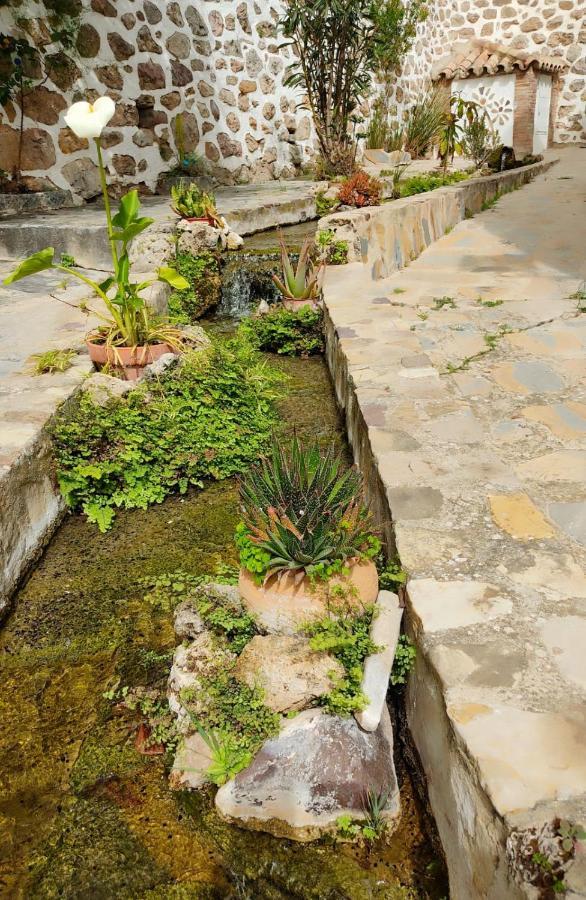 Casa El Patio Del Limon, Con Piscina Villa Montecorto Exterior foto